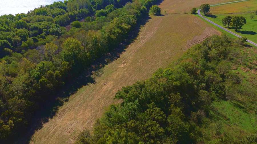 Still 2025-11-17 100017_1.55.21.jpeg